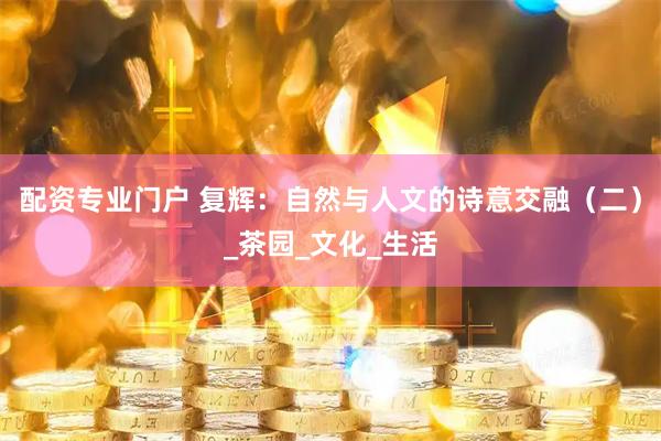 配资专业门户 复辉:自然与人文的诗意交融(二)_茶园_文化_生活
