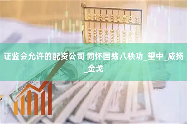 证监会允许的配资公司 同怀国殇八秩功_望中_威扬_金戈