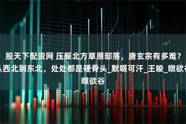 股天下配资网 压服北方草原部落，唐玄宗有多难？从西北到东北，处处都是硬骨头_默啜可汗_王晙_暾欲谷