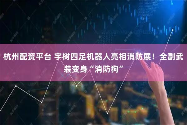 杭州配资平台 宇树四足机器人亮相消防展！全副武装变身“消防狗”